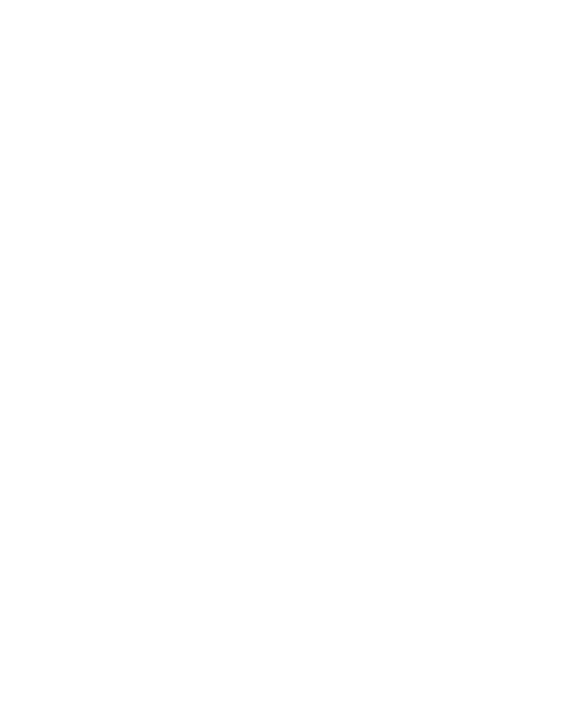 destaque 04