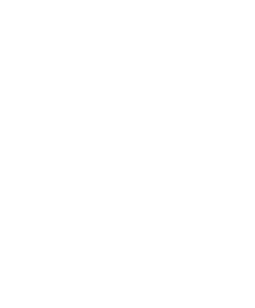 destaque 06